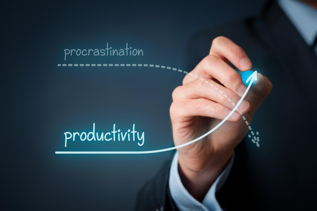 Business Leaders Share The Best Productivity Tools That Actually Work - digitalexaminer.com